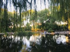 -玲珑塔公园