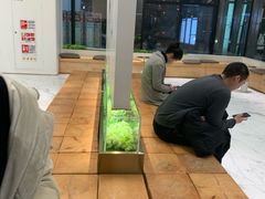 -喜茶(永旺梦乐城店)