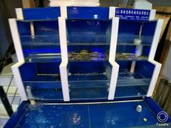 水产区-上亿烧烤海鲜大咖(承德路店)