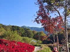 -广州市石门国家森林公园