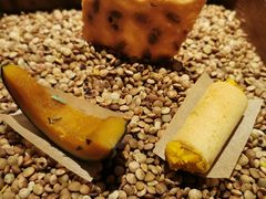 -天水蔬食料理(树德之光店)