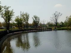 -上海长兴岛郊野公园