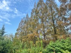 -西郊宾馆·1921餐厅