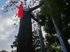 -南海神庙