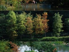 -云溪植物园