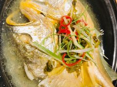 原汁清蒸小黄鱼-香园茶社·金陵小灶(老门东店)