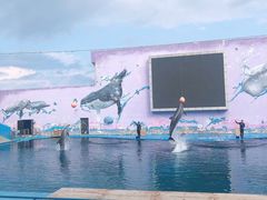 -北戴河圣蓝海洋公园