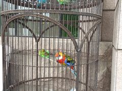 -老味道民宿(栈桥店)