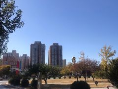 -太阳宫公园
