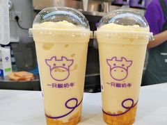 -一只酸奶牛(时代天街A馆店)