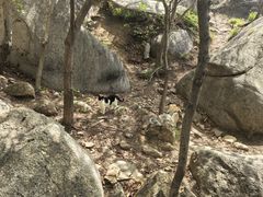 -崂山巨峰游览区