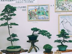 -水前寺成趣园
