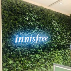 店内环境-悦诗风吟innisfree