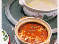 -金龙·打边炉(南京西路店)