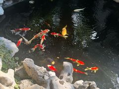 -鲤院·新中式美学·庭院餐厅(夫子庙店)
