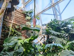 -北京植物园-展览温室
