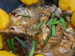 -渔码头食府·20年蓬莱老字号(登州路店)
