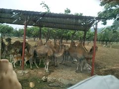 -西安秦岭野生动物园