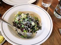 黑麦沙拉-Cumulus Inc.