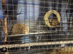 -酷嗒动物文化乐园(cutezoo西溪乐天城店)