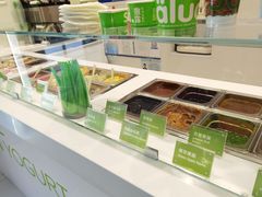 -Salud撒露欧洲冻酸奶(五道口购物中心店)