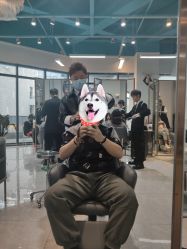 -ASG Hair Salon烫染·接发