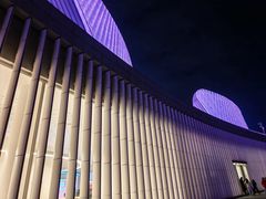 -福州海峡文化艺术中心