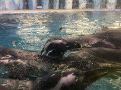 -常州海昌海洋探索馆