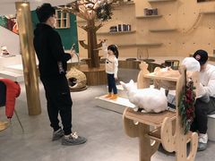 -飞行喵MR PILOT|猫舍·猫咖(静安大融城店)