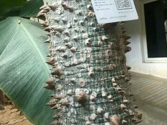-北戴河集发农业梦想王国