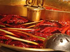 -小龙翻大江文化火锅(宽窄店)