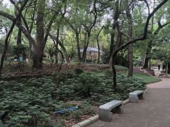 -晓港公园
