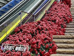 -万科生活广场(东莞松山湖店)
