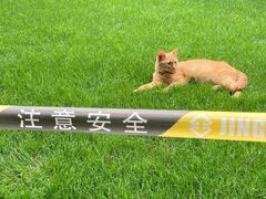 -静安公园(静安寺街道)