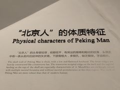 -北京周口店北京人遗址博物馆