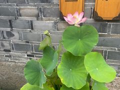 -鸣鹤古镇