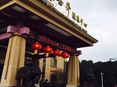 万豪温泉谷度假酒店-咸宁温泉谷大酒店