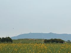 -光明小镇欢乐田园