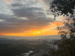 -梧桐山风景名胜区