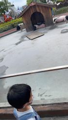 -造物庄园 萌宠纪(苏州湾歌林公园店)