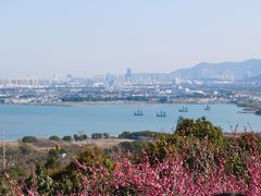 -香雪海