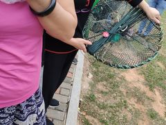 -厦门五通客运码头