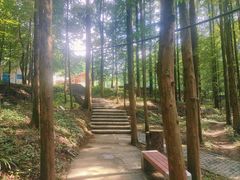 -山王坪喀斯特国家生态公园