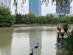 -金桥现代产业园区-停车场