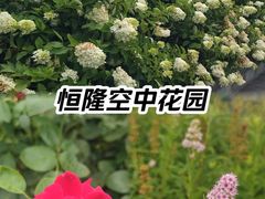 -皇城恒隆广场