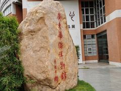 -二沙岛-广东华侨博物馆