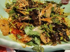 -东颖龙肥牛王(绵阳店)