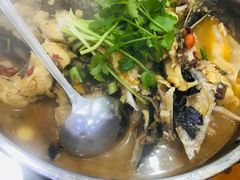 -全乐鱼馆·淳牌有机鱼直营店