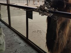 -齐齐哈尔龙沙动植物园