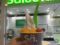 -Salud撒露欧洲冻酸奶(蓝色港湾店)